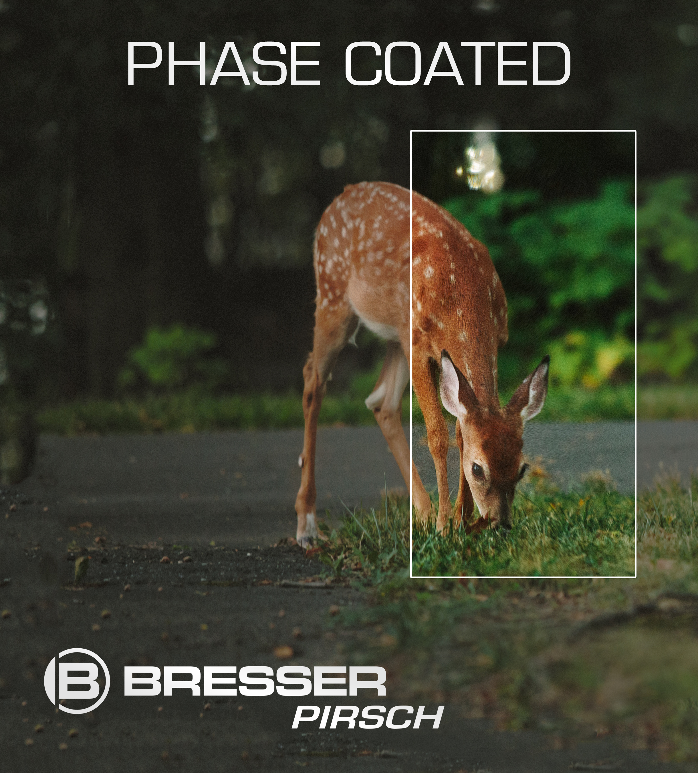 BRESSER Pirsch jumelles 10x42 Phase Coating